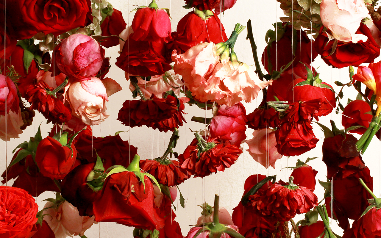 Boom Blooms – Valentine's Day